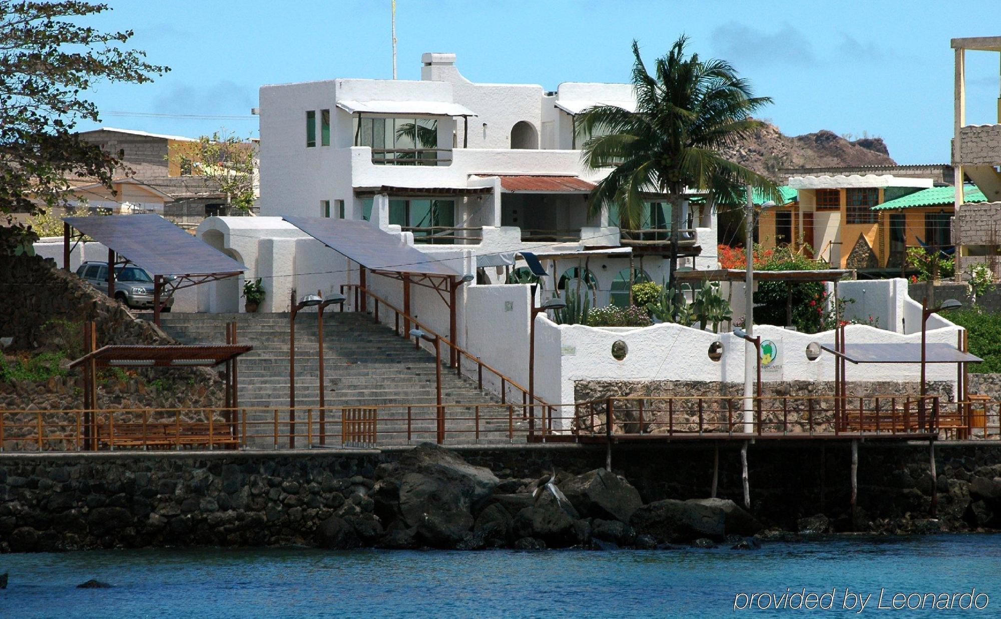 Bed and Breakfast Casa Opuntia Puerto Baquerizo Moreno Zewnętrze zdjęcie
